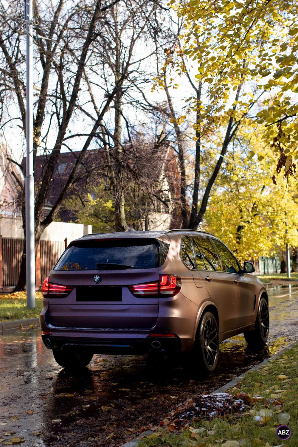 ISF film Satin Rose Gold