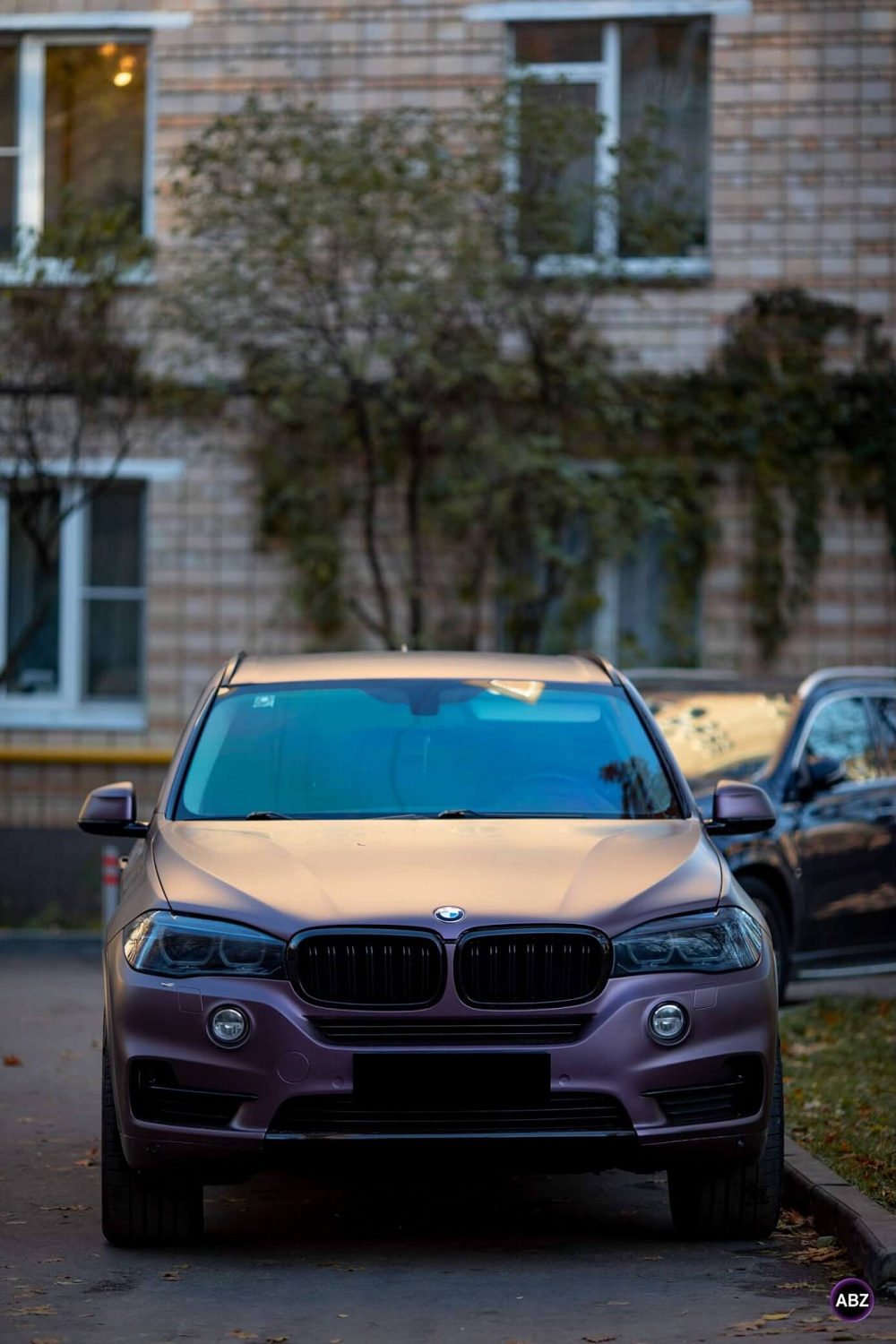 ISF film Satin Rose Gold