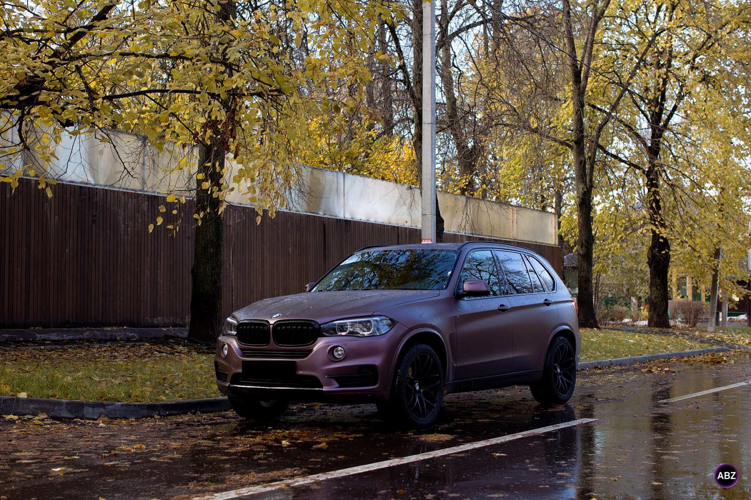 ISF film Satin Rose Gold