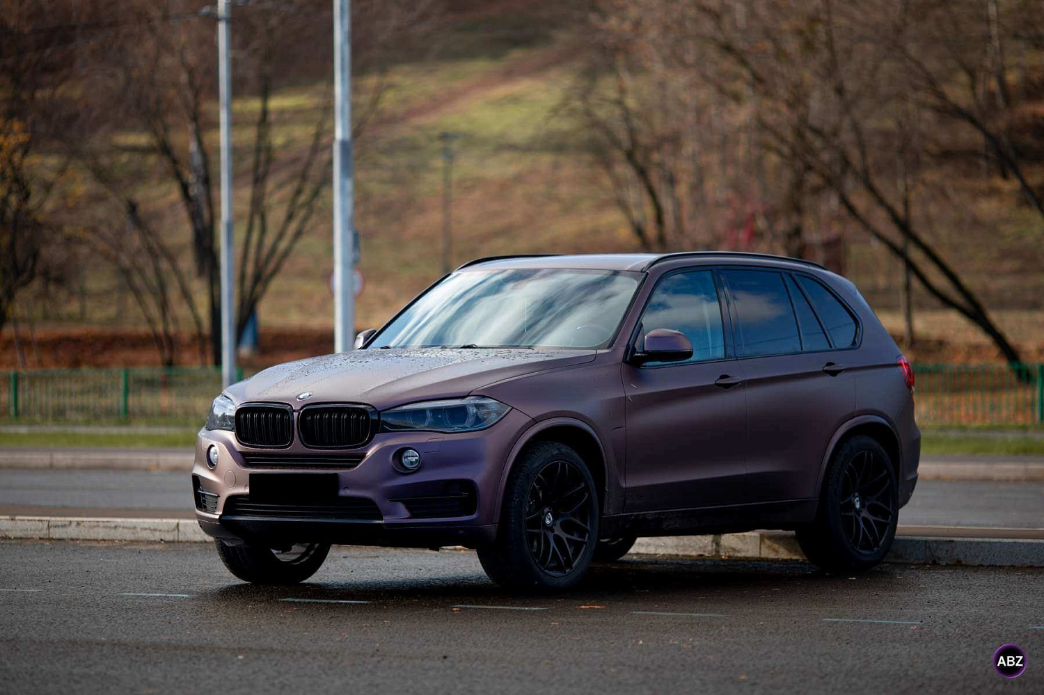 ISF film Satin Rose Gold